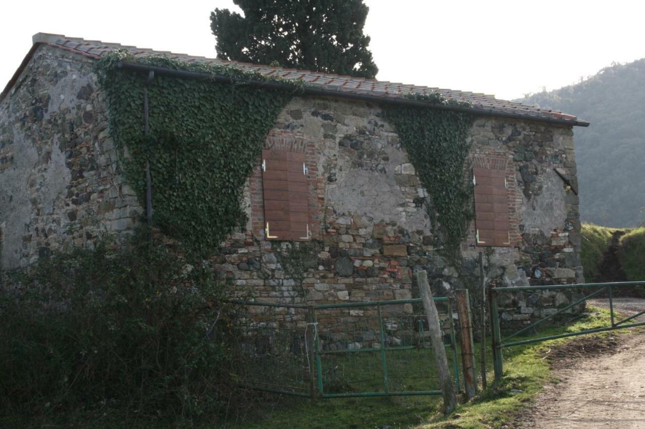 Farmhouse Tuscany Montecastelli Pisano Exteriör bild