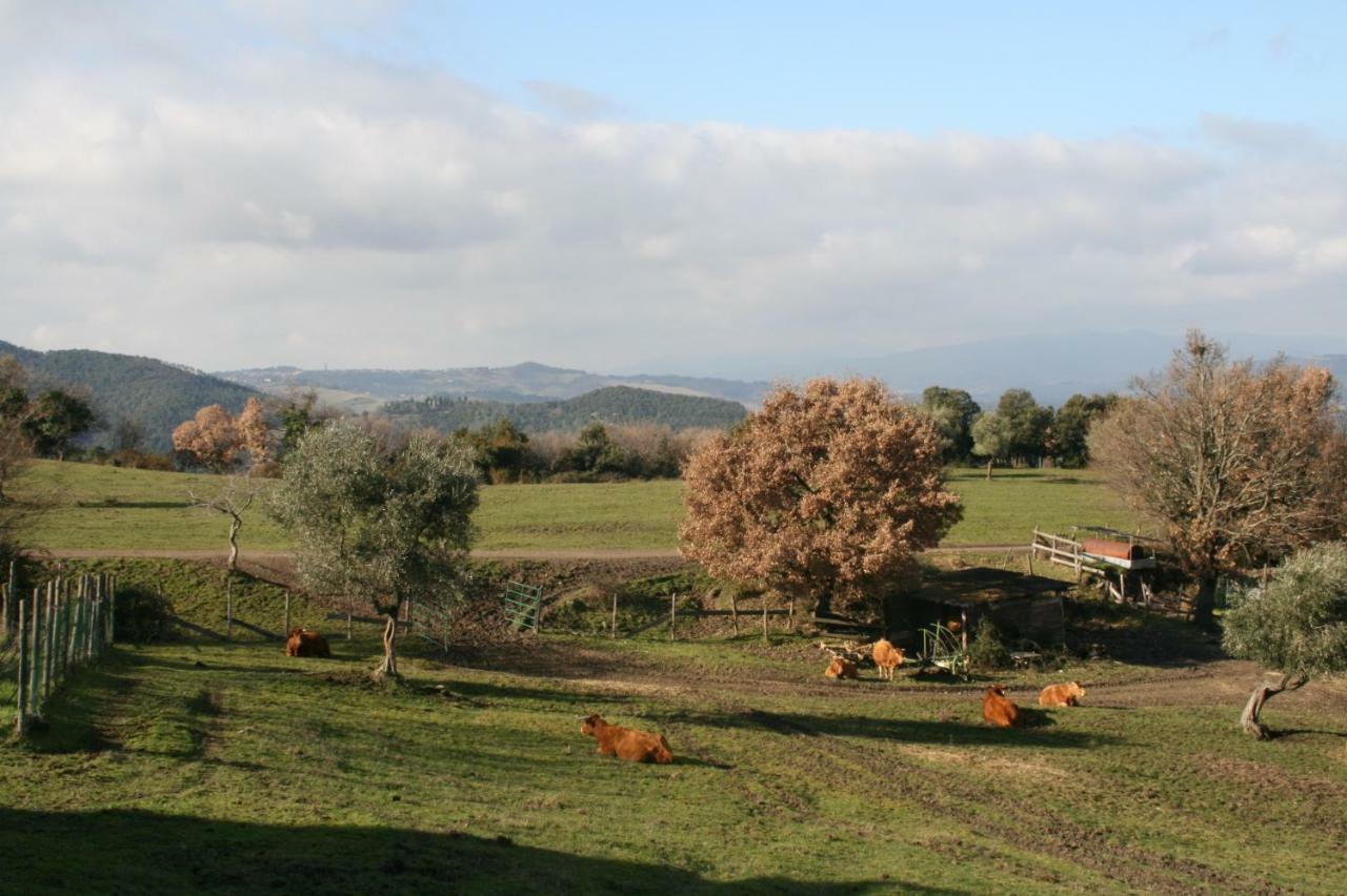 Farmhouse Tuscany Montecastelli Pisano Exteriör bild