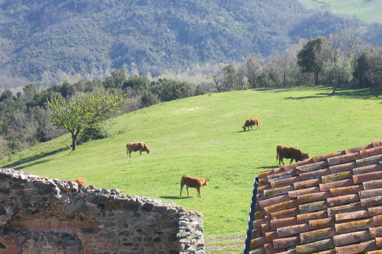 Farmhouse Tuscany Montecastelli Pisano Exteriör bild